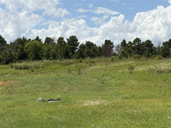 16813 BOLSENA DRIVE , BELLA COLLINA, FL 34756