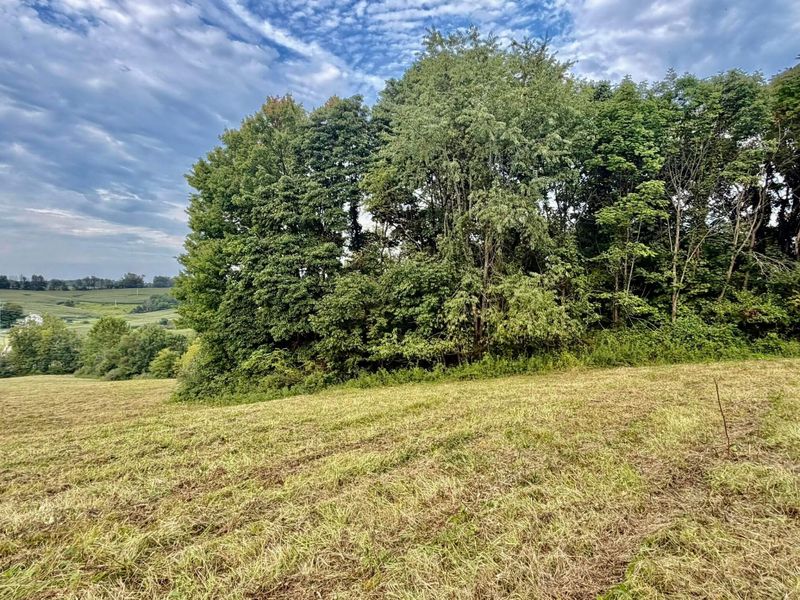 0 US Highway 22 , Mount Perry, OH 43760 Photo 12