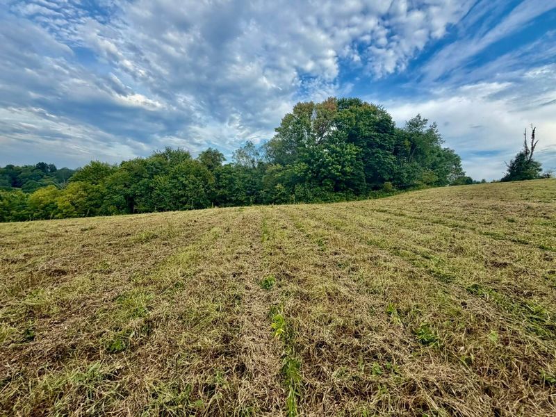 0 US Highway 22 , Mount Perry, OH 43760 Photo 4
