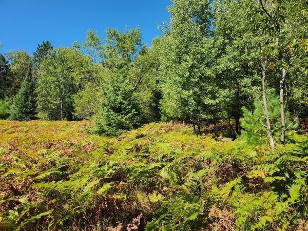 On COUNTY ROAD K, Unit Lot 9, Harshaw, WI 54529