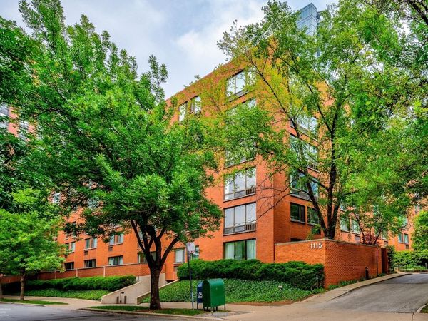 1115 S Plymouth Court , Unit 113, Chicago, IL 60605