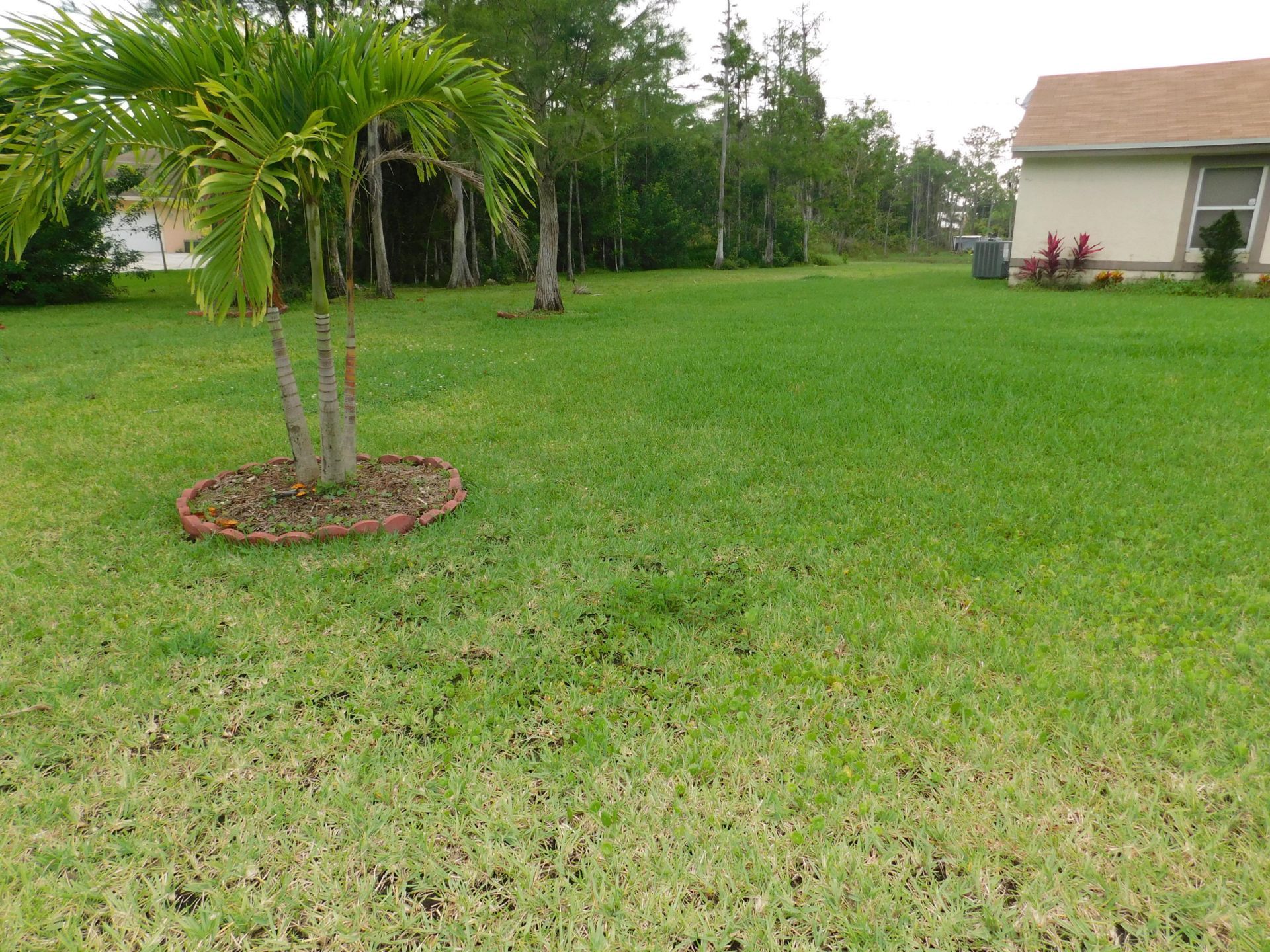 16407 80th Street N, The Acreage, FL 33470 Photo