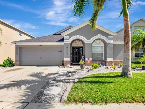 2239 ROANOKE SPRINGS DRIVE , RUSKIN, FL 33570