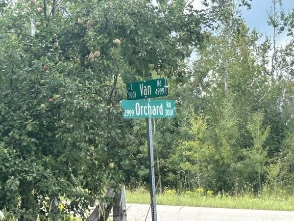 V/L Van Road, Levering, MI 49755