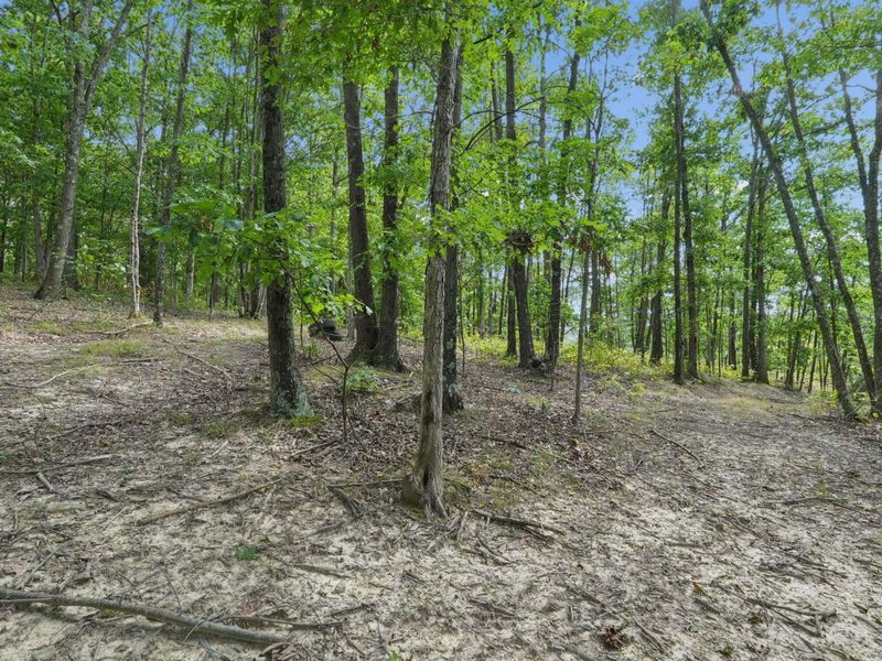 1113 Wickline Road, Beaver, OH 45613 Photo 42