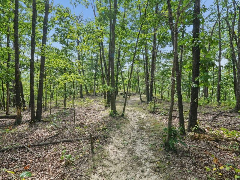 1113 Wickline Road, Beaver, OH 45613 Photo 43