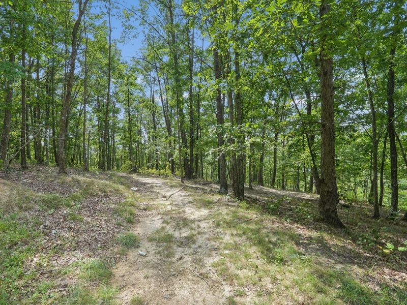 1113 Wickline Road, Beaver, OH 45613 Photo 44