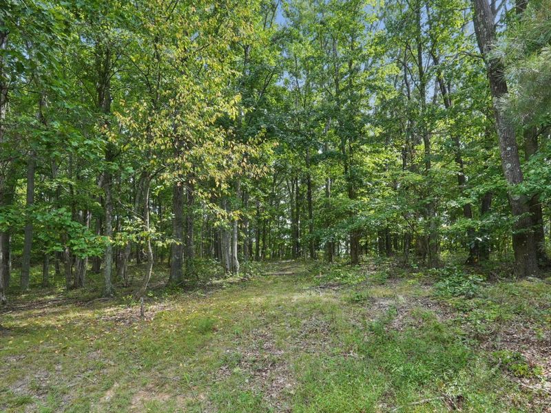 1113 Wickline Road, Beaver, OH 45613 Photo 45