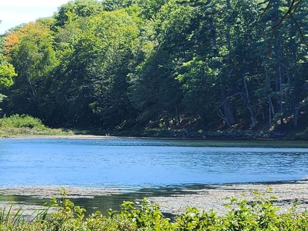 On GRAND PINES DRIVE, Unit Lot 3, Tomahawk, WI 54487
