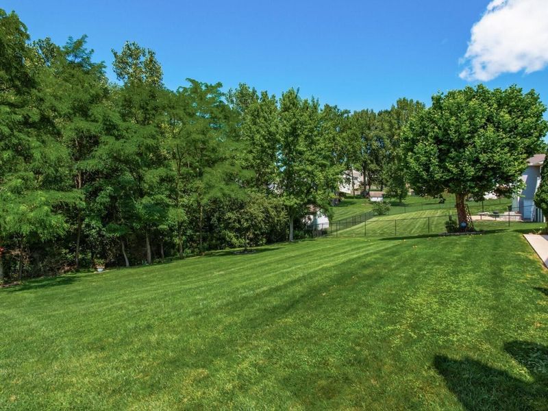 1298 Bluejack Lane, Heath, OH 43056 Photo 59
