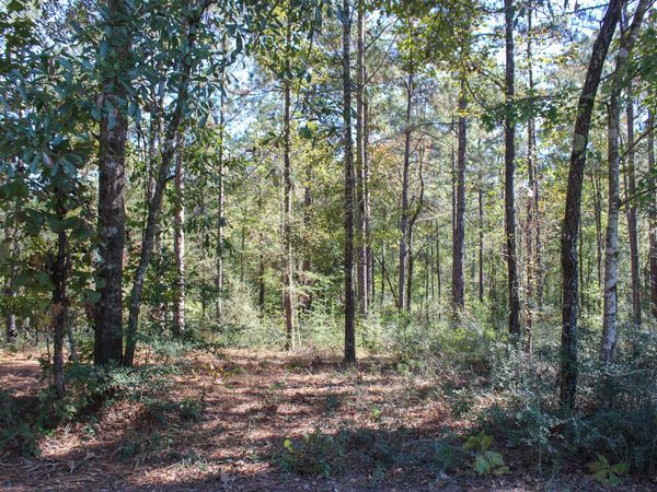 000 Marshal Pl, Petal, MS 39465