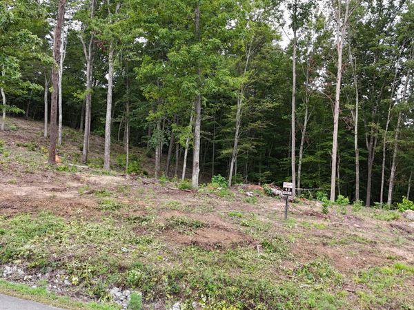 Lot 45 Bayside Boulevard, Bean Station, TN 37708