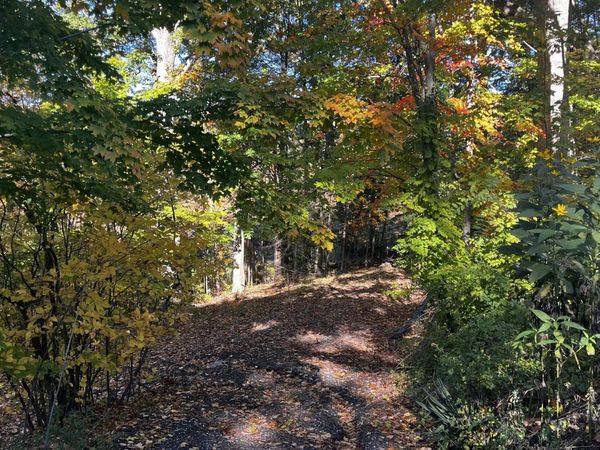 6695 S Brooks Road, Fruitport, MI 49415