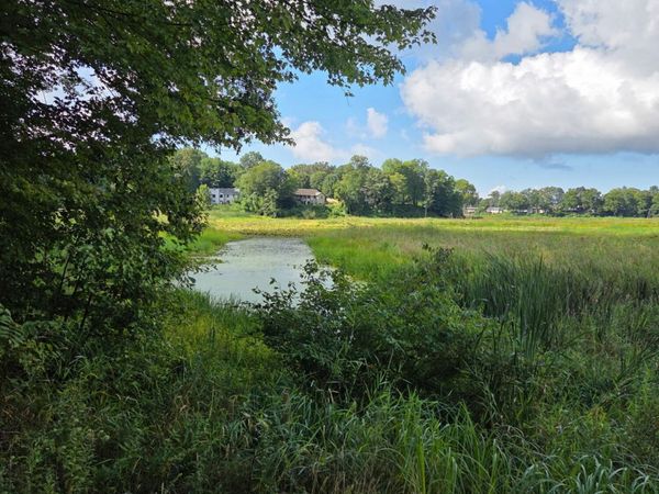 6695 S Brooks Road, Fruitport, MI 49415