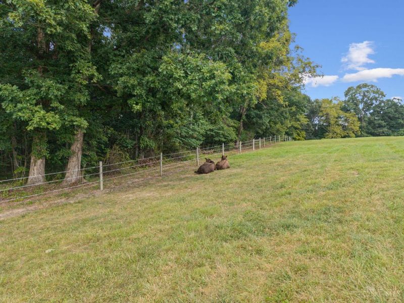 1459 Kizzie, Rarden Township, OH 45671 Photo 52