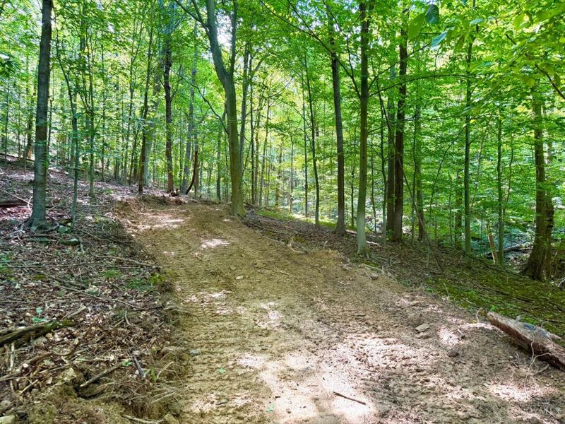 1459 Kizzie, Rarden Township, OH 45671 Photo 89
