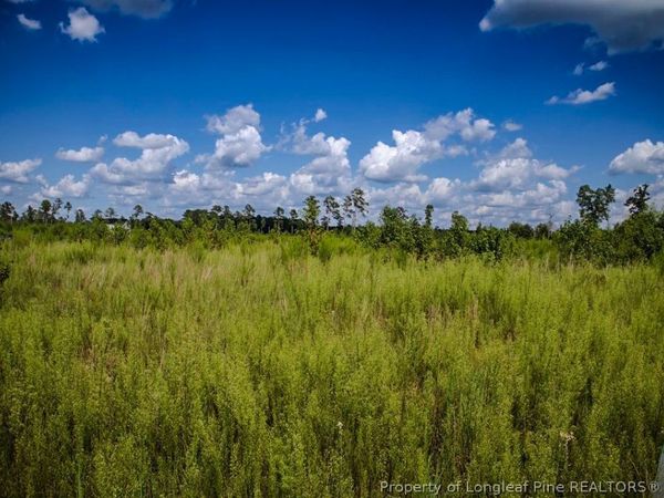 Tract 15 Mitchell Road, Fairmont, NC 28340