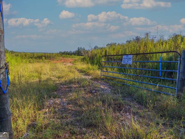 TRACT 1 Highway 0036, Woodland, GA 31836