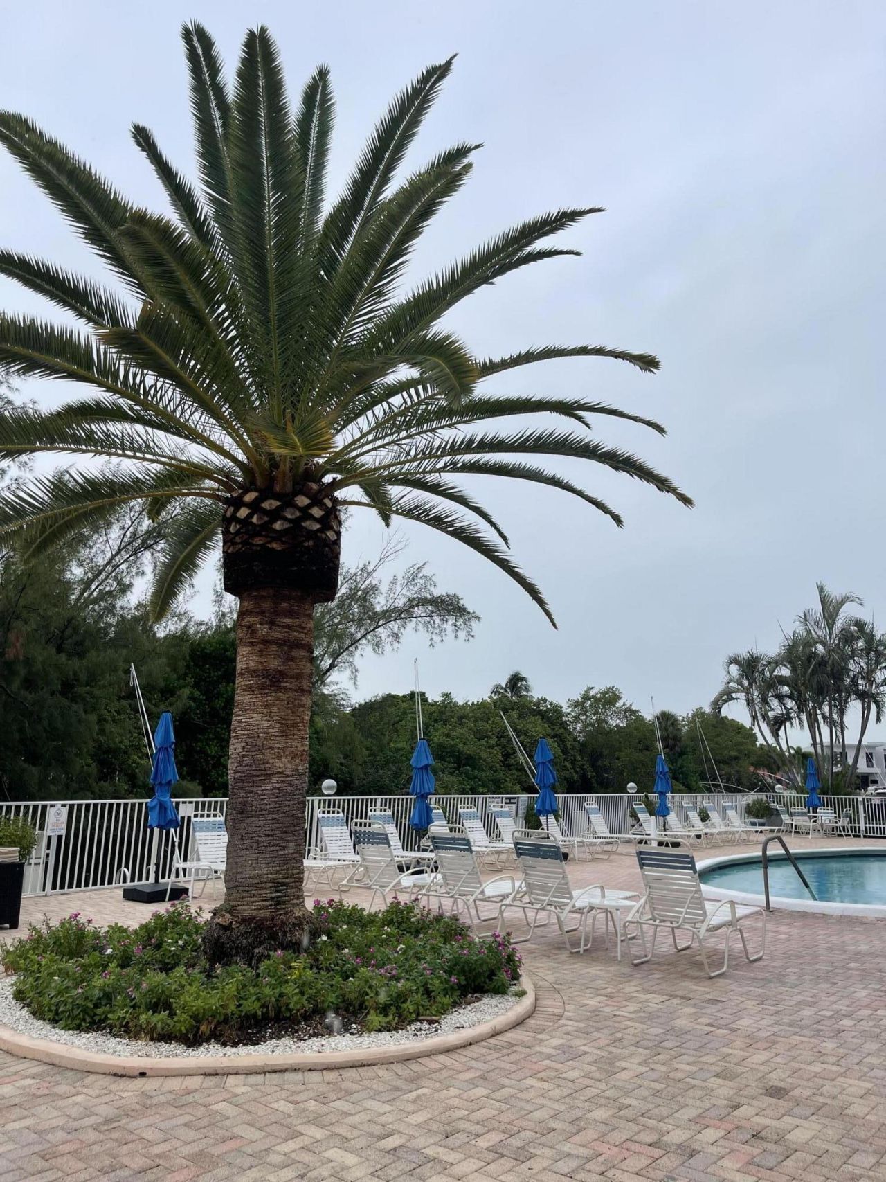 2840 NE 14th St Causeway, Unit 203A, Pompano Beach, FL 33062 Photo
