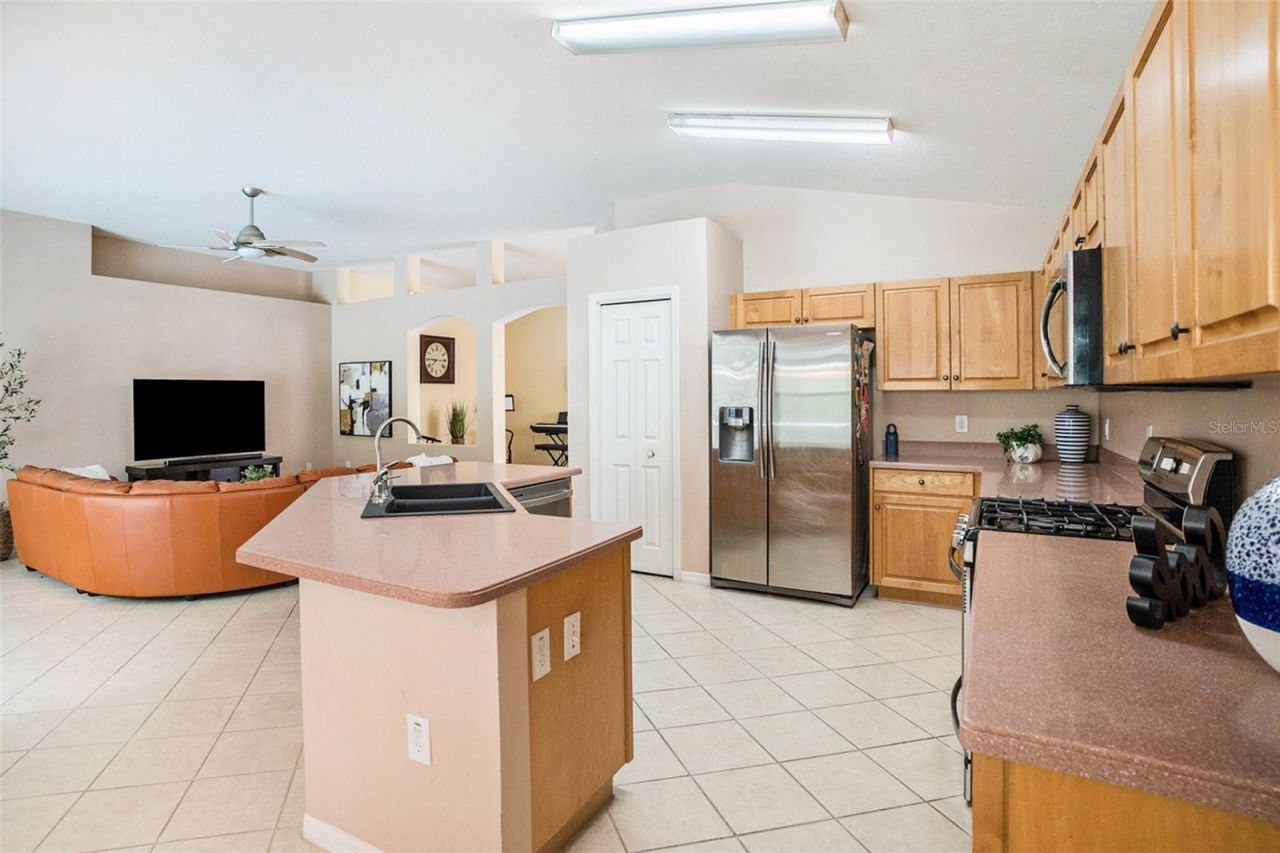 2132 Rensselaer Drive, Wesley Chapel, FL 33543 Photo