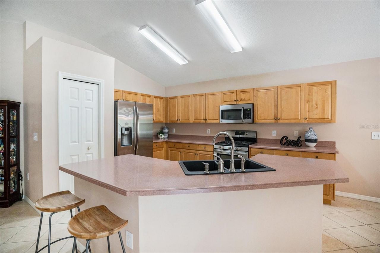 2132 Rensselaer Drive, Wesley Chapel, FL 33543 Photo