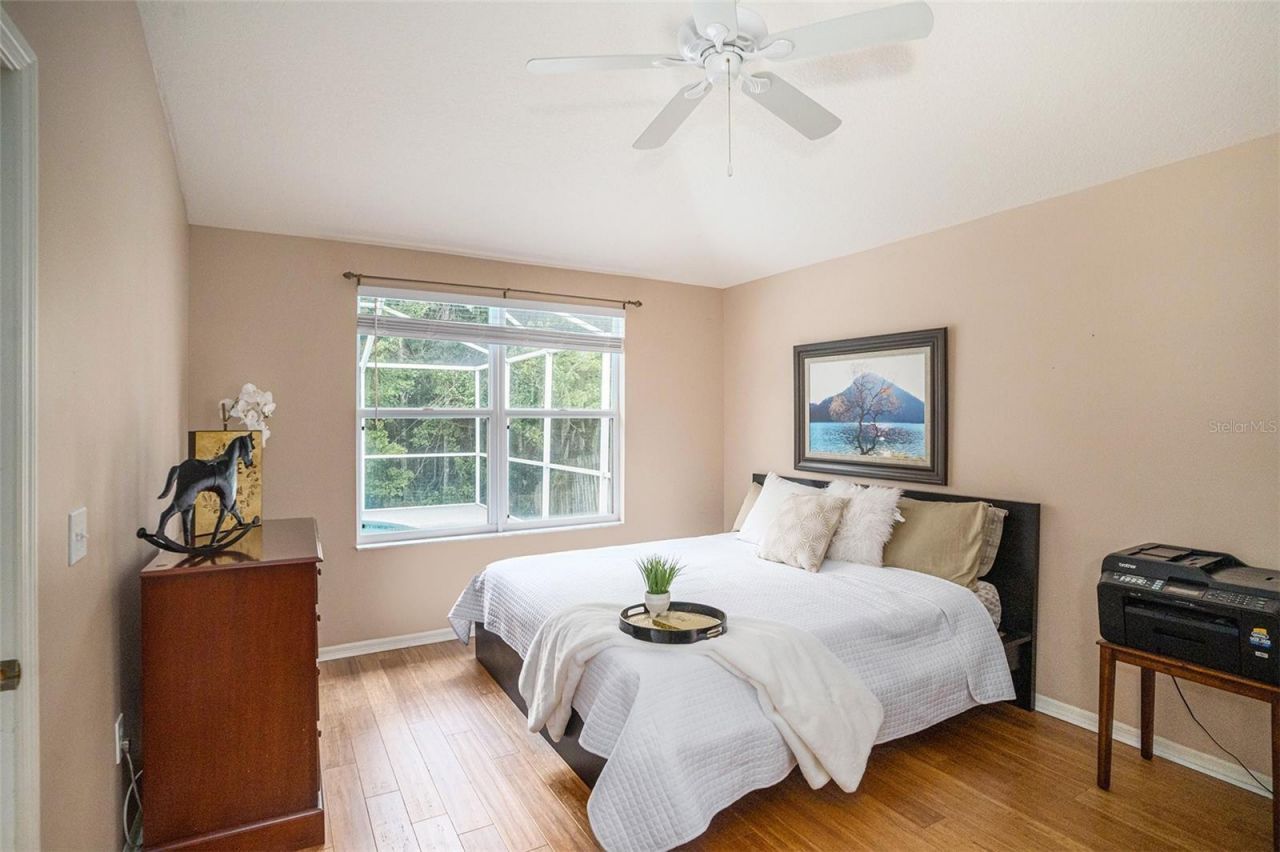 2132 Rensselaer Drive, Wesley Chapel, FL 33543 Photo