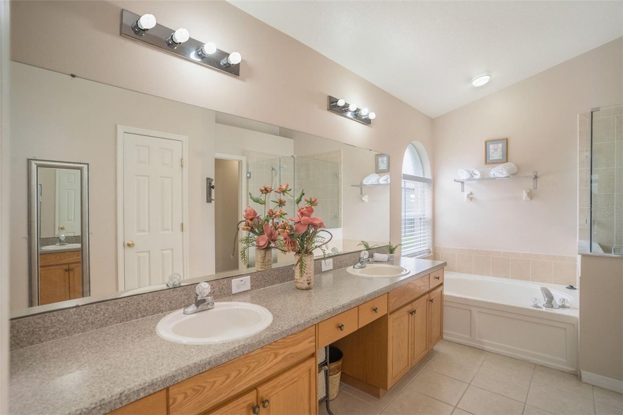 2132 Rensselaer Drive, Wesley Chapel, FL 33543 Photo