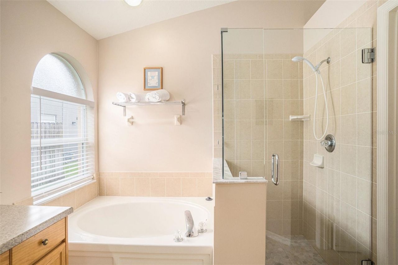 2132 Rensselaer Drive, Wesley Chapel, FL 33543 Photo