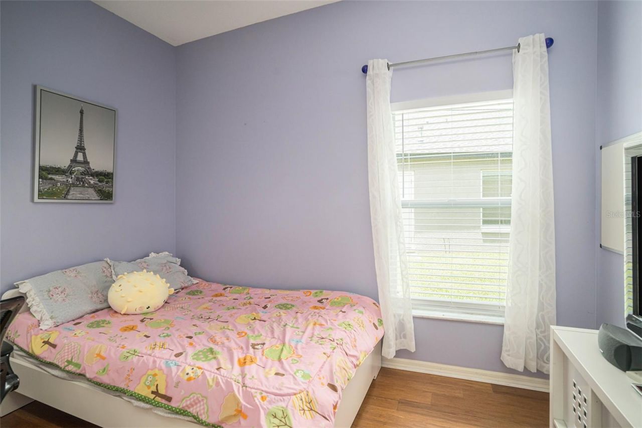 2132 Rensselaer Drive, Wesley Chapel, FL 33543 Photo