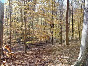 Lots 27E - 32E Parkersville Road, Eddyville, KY 42038