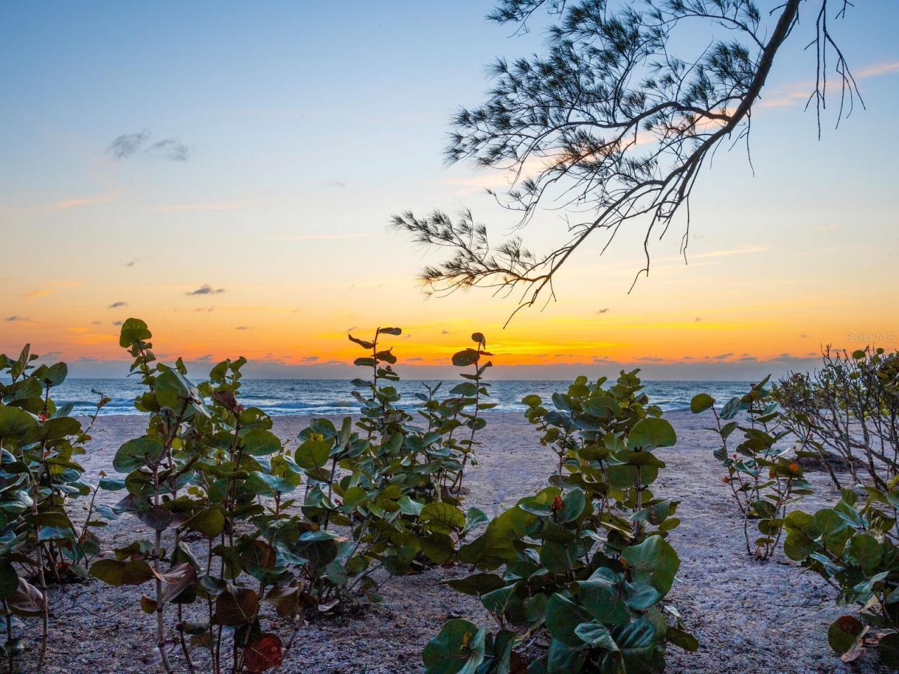1216 N Casey Key Road, Osprey, FL 34229 Photo