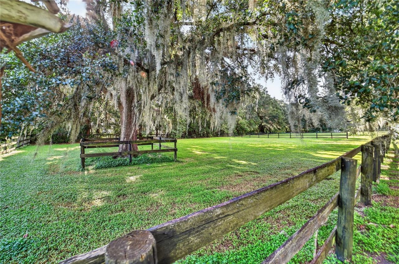 6051 SE 148th Terrace , Morriston, FL 32668 Photo