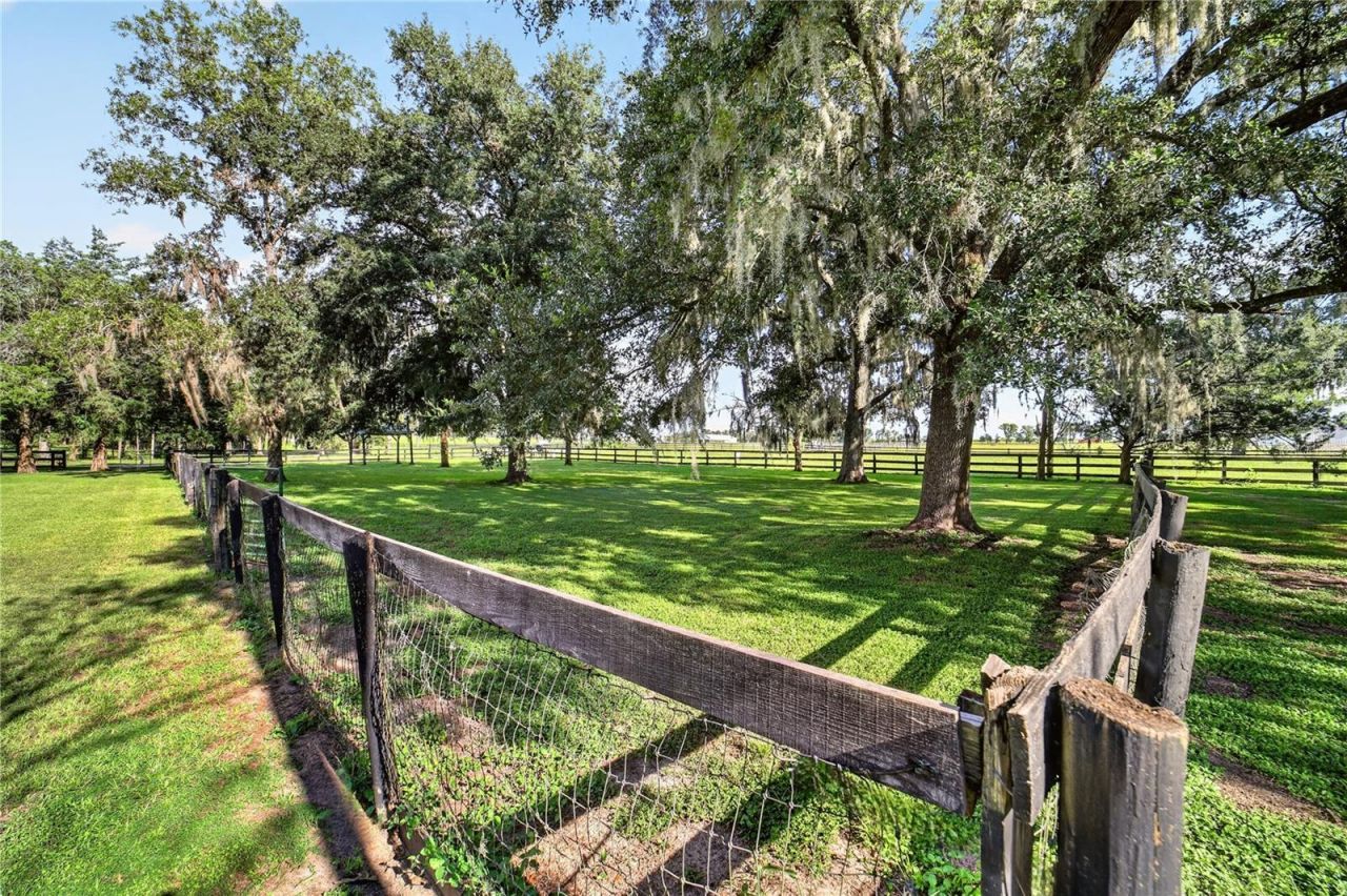 6051 SE 148th Terrace , Morriston, FL 32668 Photo