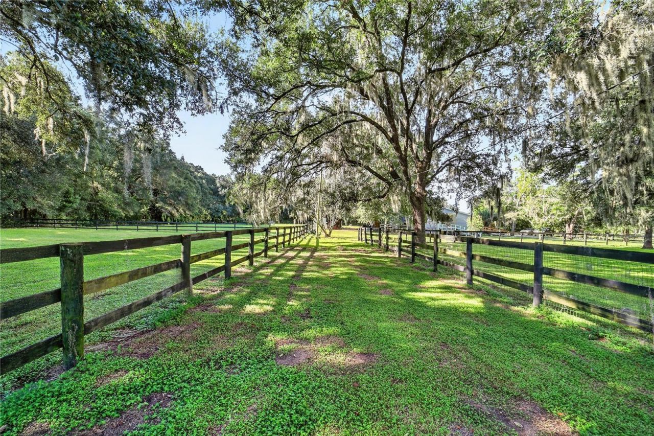 6051 SE 148th Terrace , Morriston, FL 32668 Photo