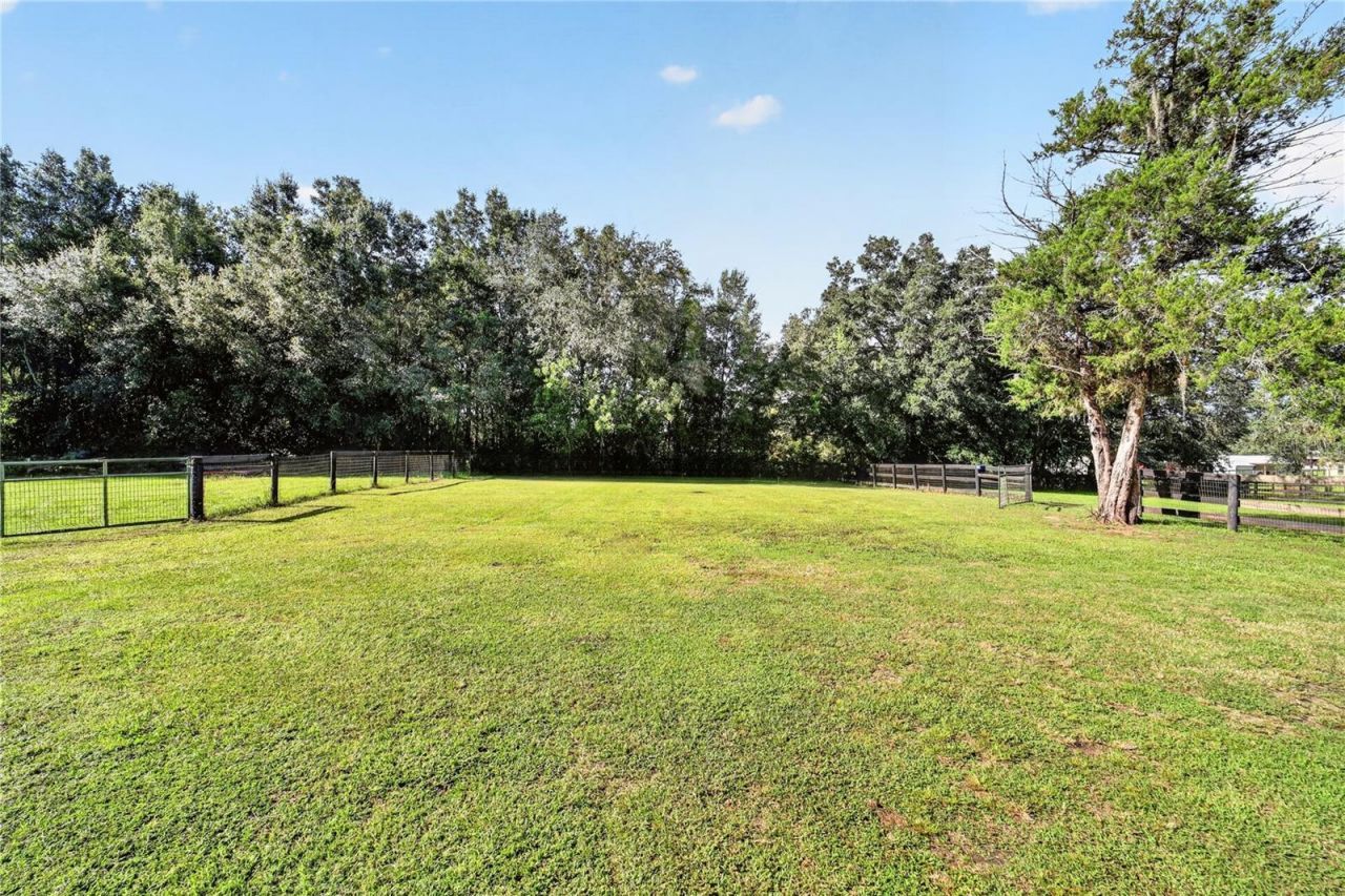 6051 SE 148th Terrace , Morriston, FL 32668 Photo