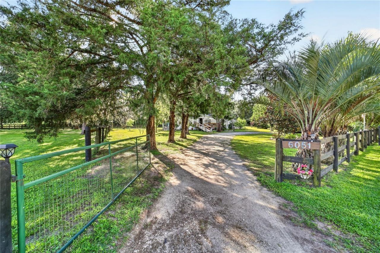 6051 SE 148th Terrace , Morriston, FL 32668 Photo