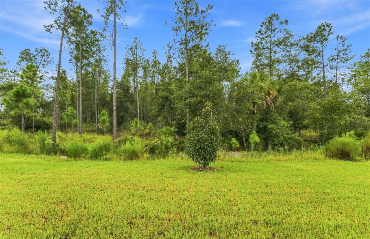 35224 Cohagen Trail, Zephyrhills, FL 33541 Photo