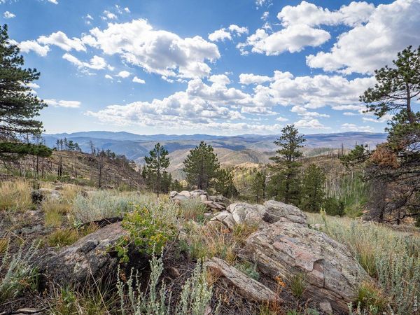 909 Forest Road 171, Red Feather Lakes, CO 80545