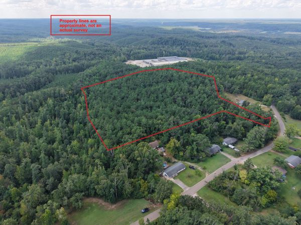 0 PREACHER DR, Counce, TN 38326