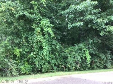 4473 Oak Pointe Drive , Genoa Township, Mi 48116