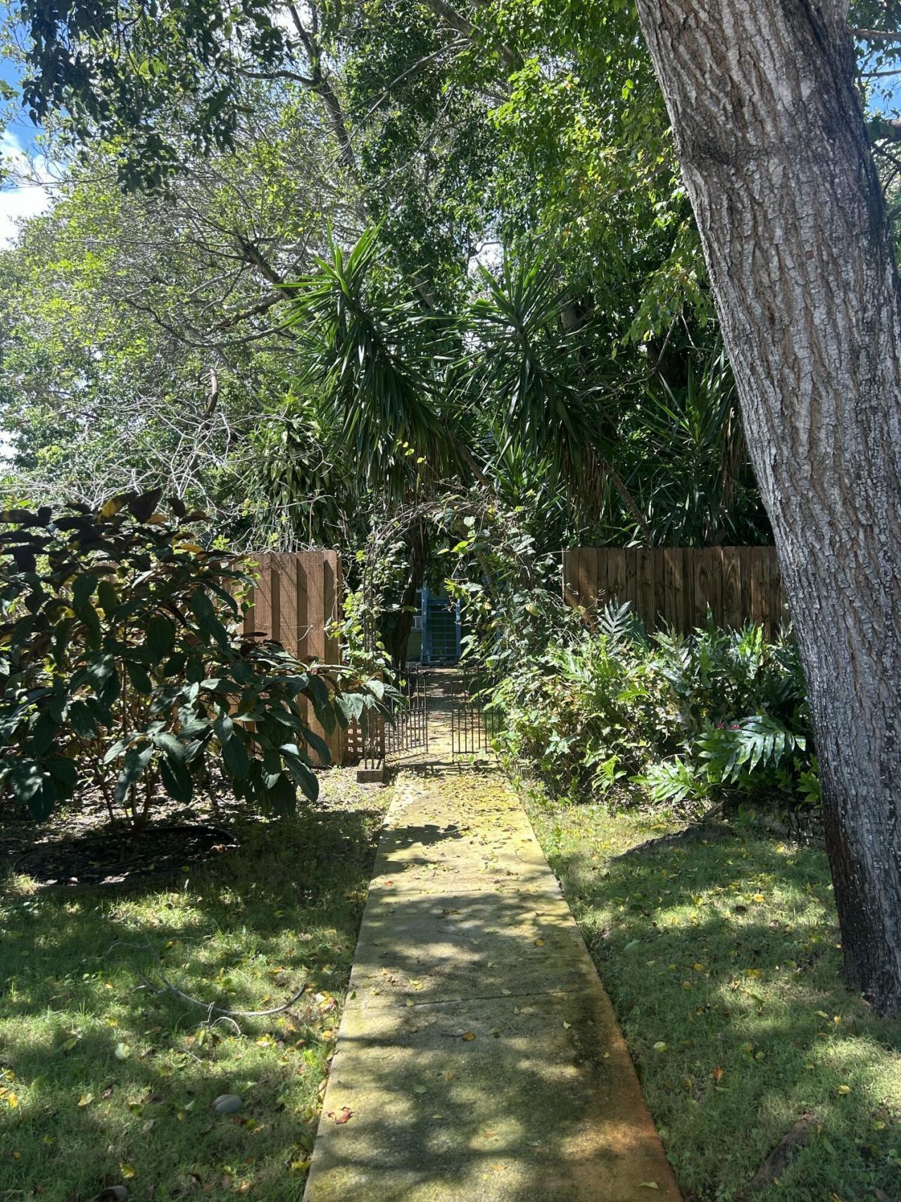 431 S M Street, Lake Worth, FL 33460 Photo