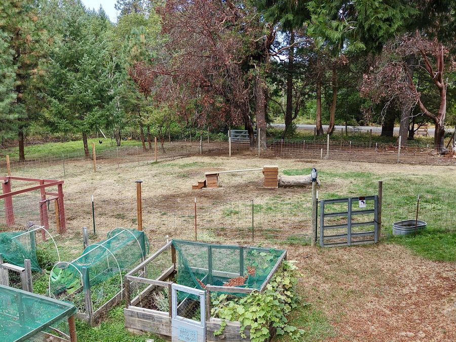 Property Image 54