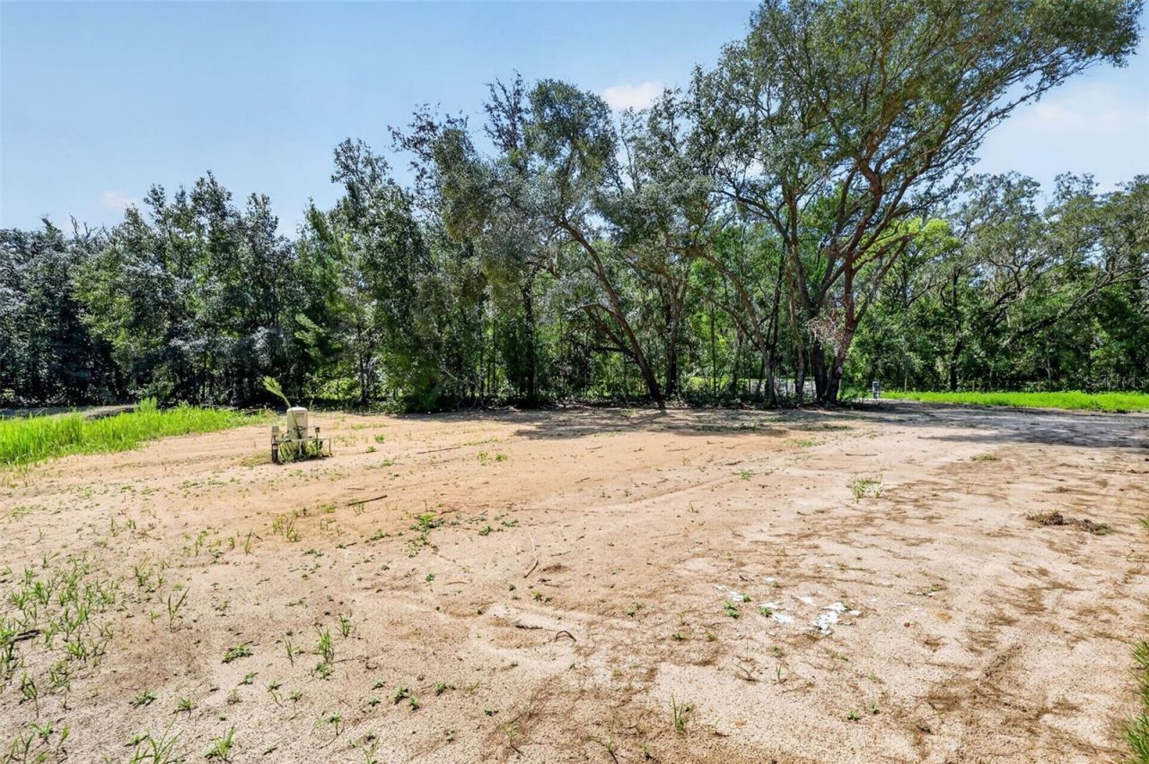 60 Guava Pass, Ocklawaha, FL 32179 Photo