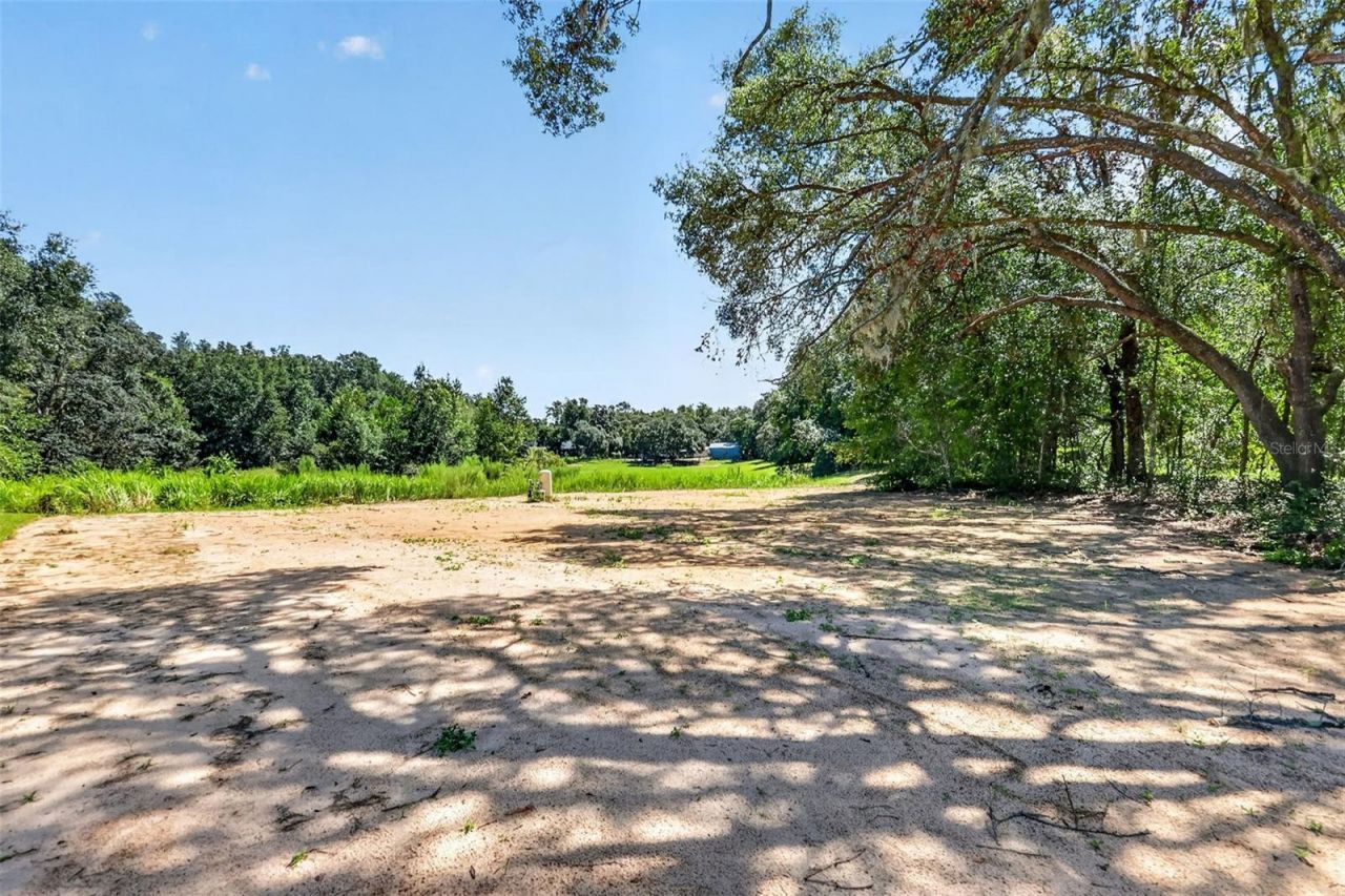 60 Guava Pass, Ocklawaha, FL 32179 Photo