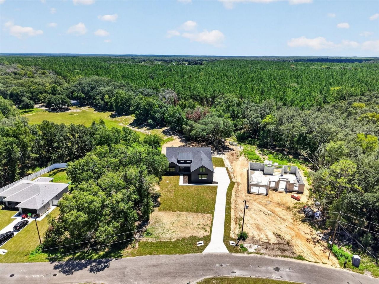 60 Guava Pass, Ocklawaha, FL 32179 Photo