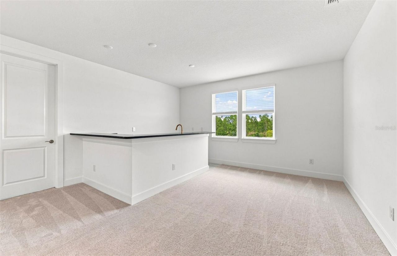 35626 Cohagen Trail, Zephyrhills, FL 33541 Photo