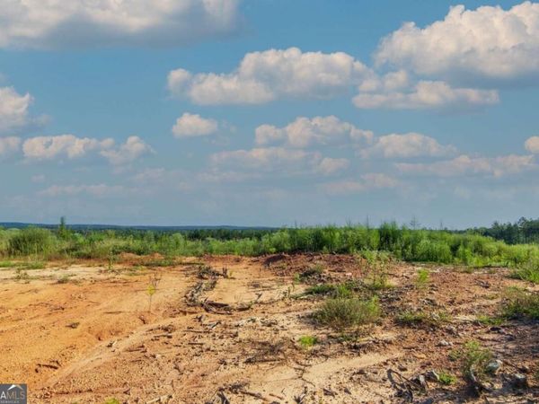 TRACT 3 Highway 0036, Woodland, GA 31836