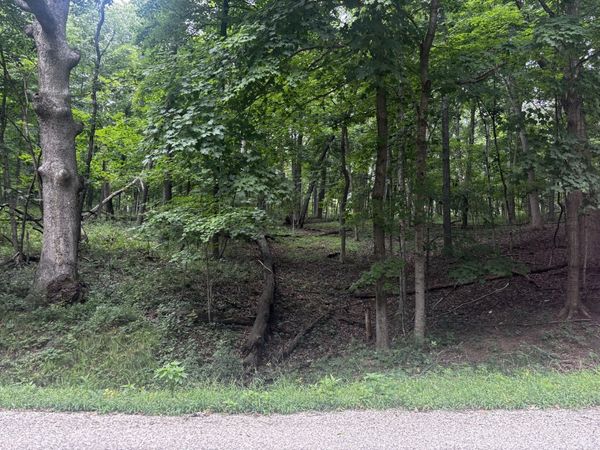 1806 Tanglewood Drive , Varna, IL 61375