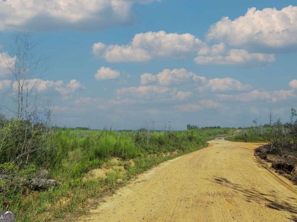 TRACT 4 Highway 0036, Woodland, GA 31836