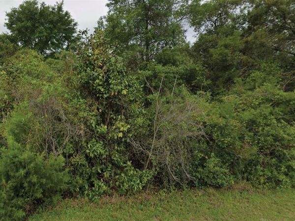 NE 236TH LANE , FORT MC COY, FL 32134